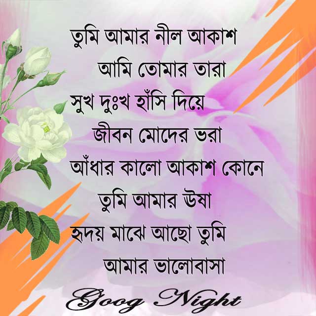 good night sms bangla