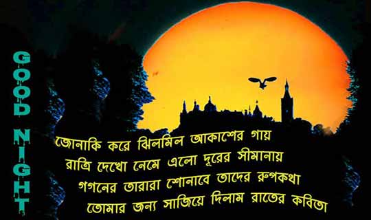 Bengali good night Image with quotes