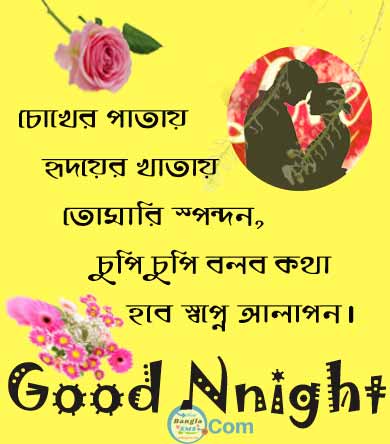 Bangla HD Good night Image sms subho ratri pic photo message shayari
