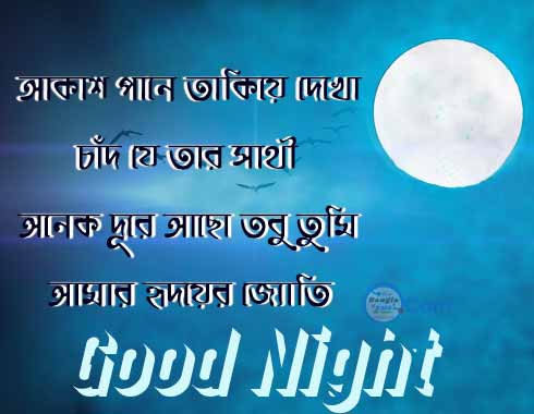 good night bangla শুভ রাত্রি ছবি photo
