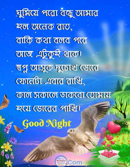 শুভ রাত্রি শুভেচ্ছা ছবি good night bangla image