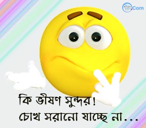 Bengali Pic Comment For Fecebook