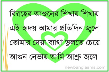 Bangla Sad New Shayari, দুঃখের শায়েরী