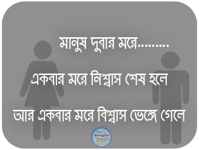 bengali status quotes about life