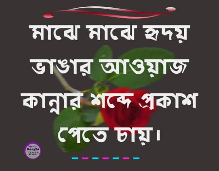 Bengali-Sad-status-Quotes-download