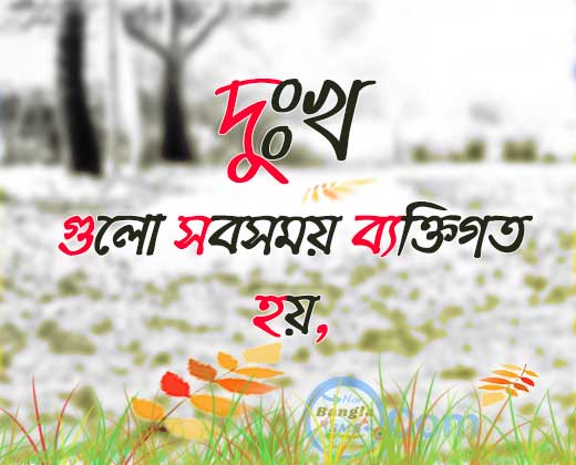 bangla koster picture new