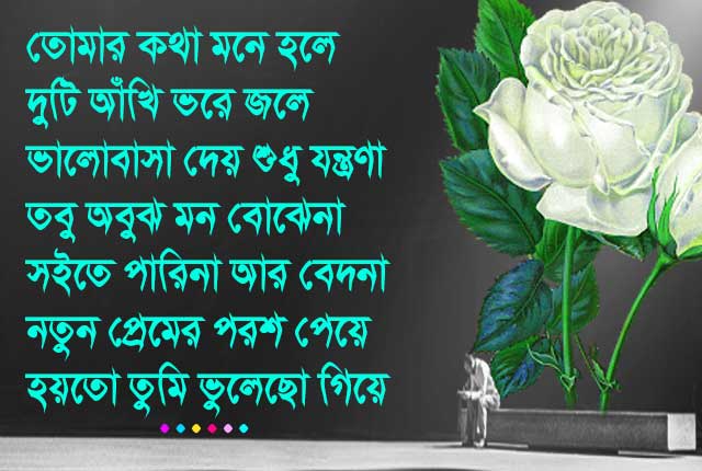 Bangla Sad Shayari SMS