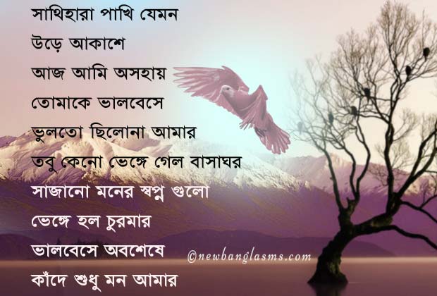 sad shayari bangla photo