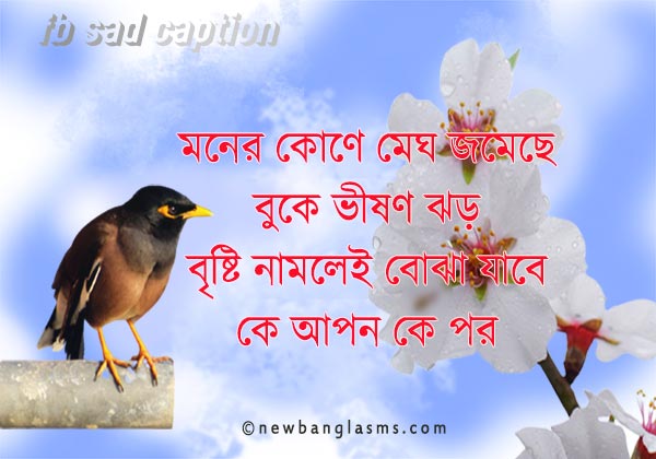 Fb-Sad-Caption-Bangla